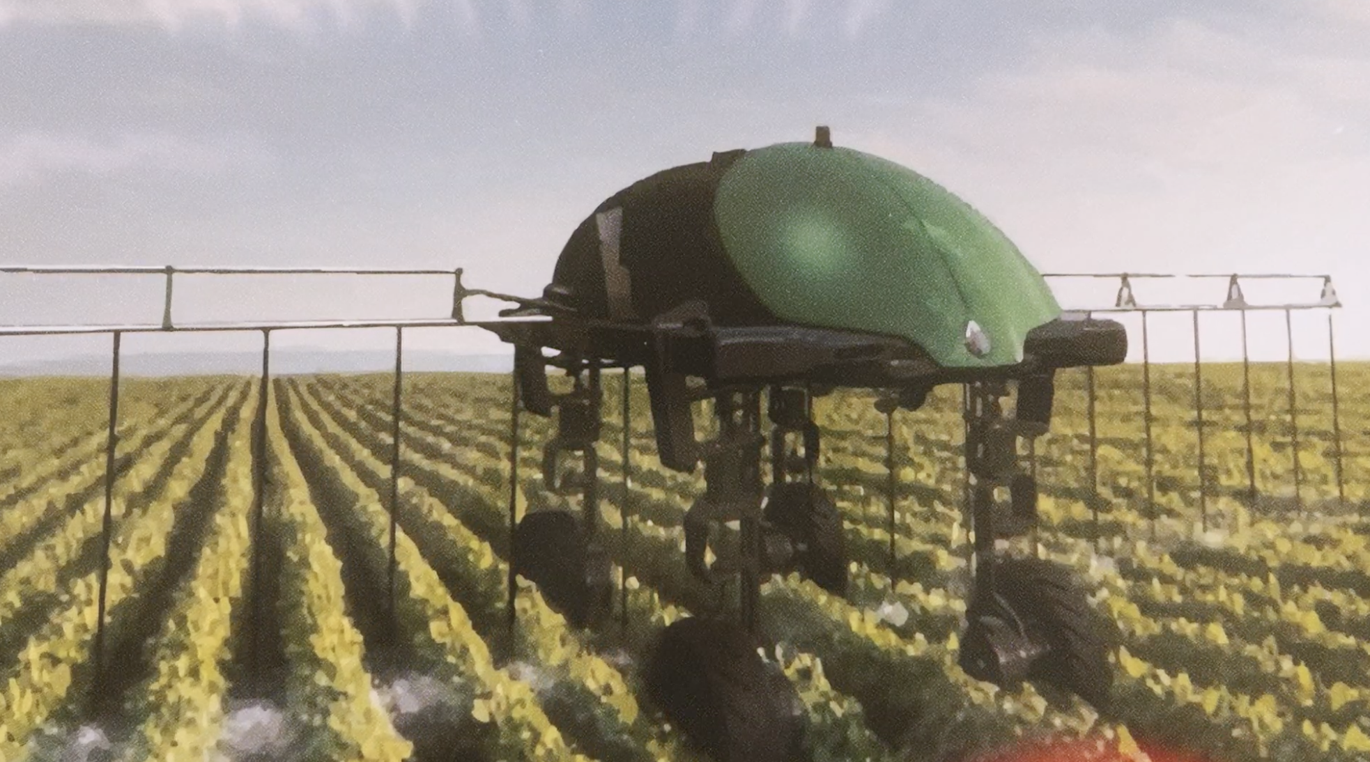 Há 16 anos, nasce uma ideia