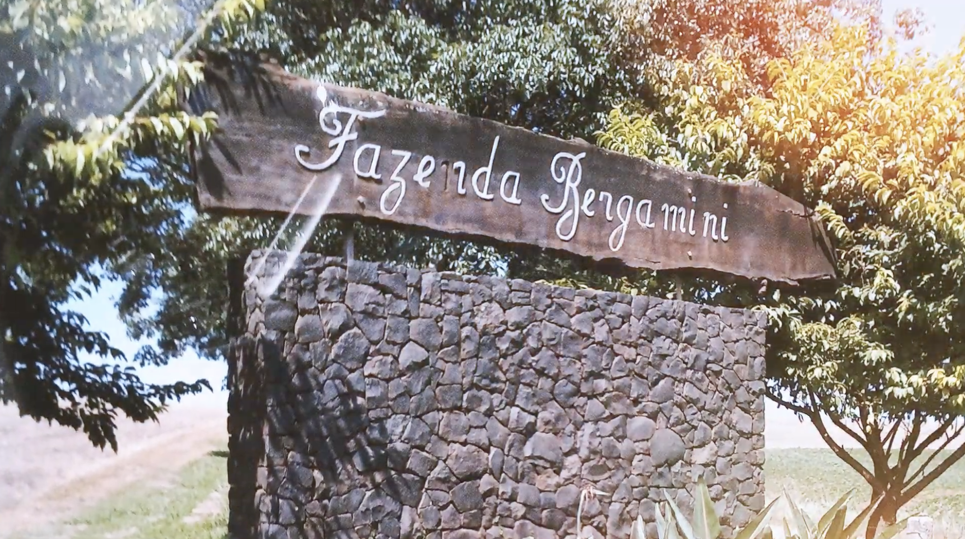Fazenda Bergamini: nosso primeiro cliente