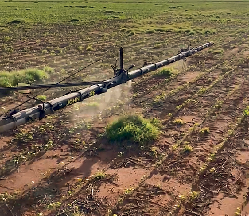 Verde sobre<br>Biomassa Verde