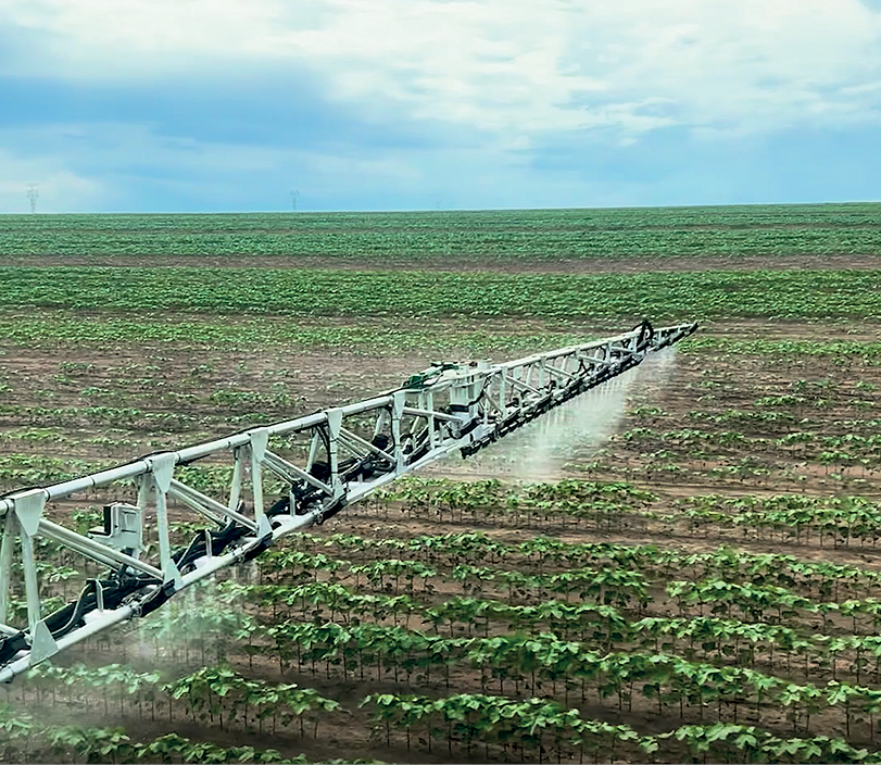 Verde sobre Verde:<br>Cortex.AI