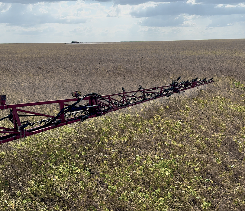 Dessecação de cultura