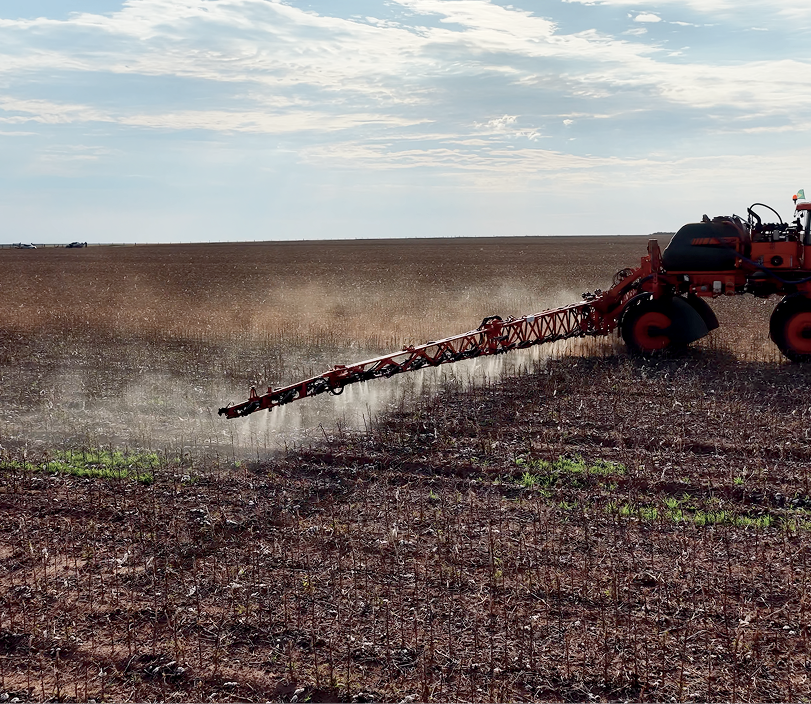 Taxa Mínima<br>Taxa Variável